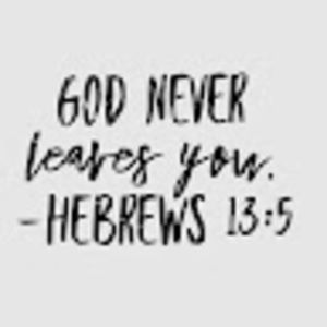 Meet your Posher, Lynn